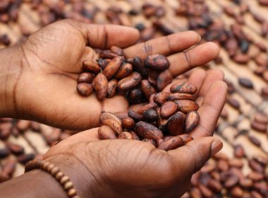 person holding brown and black seeds
