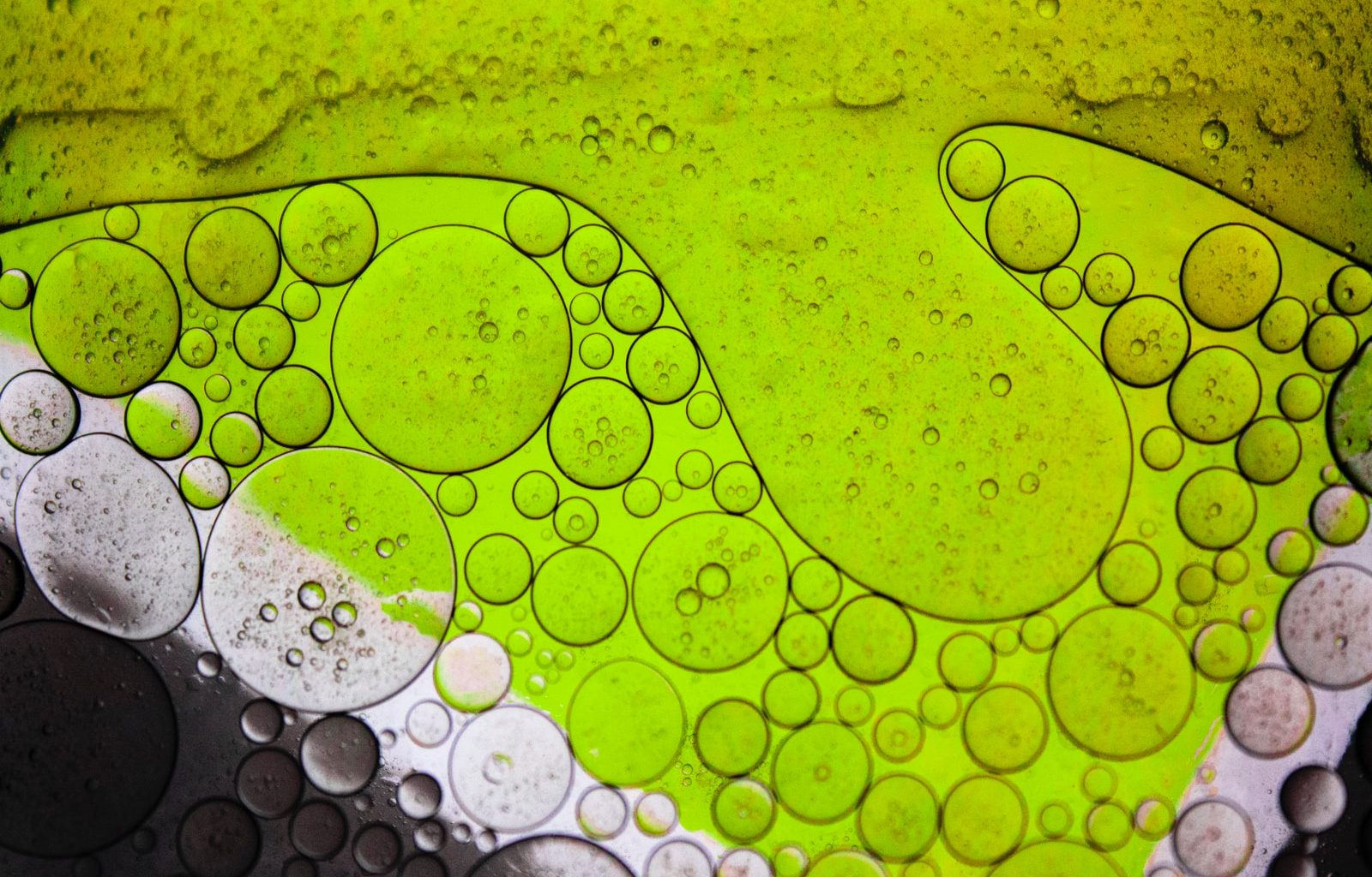 water droplets on green surface