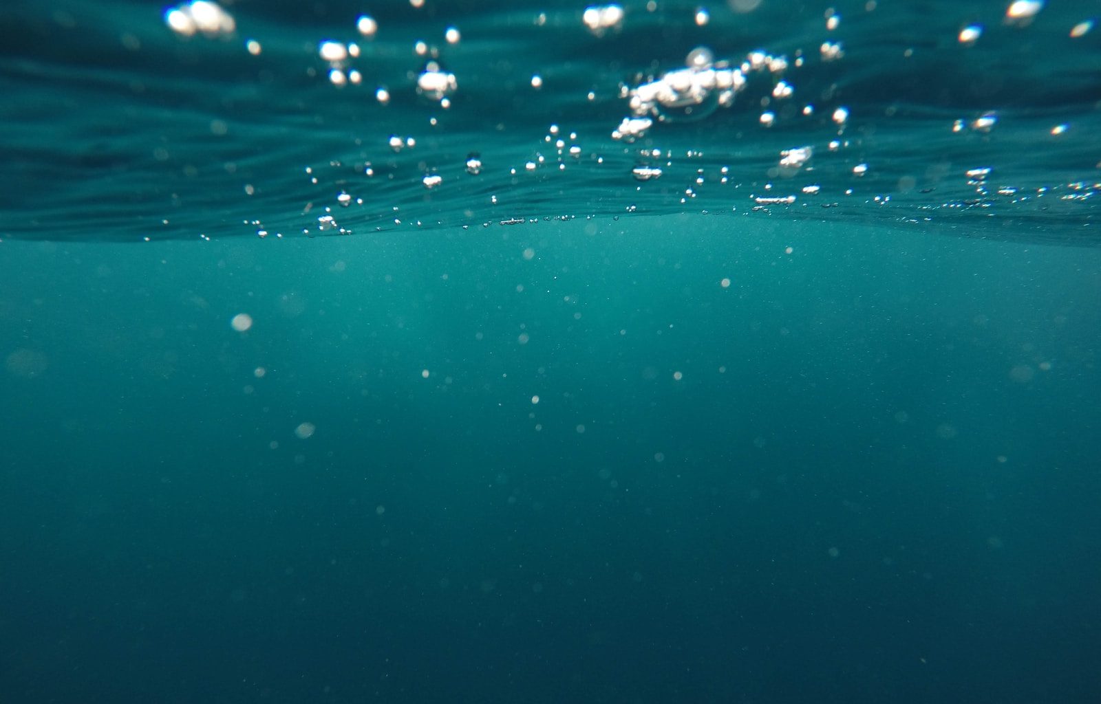 photo of underwater