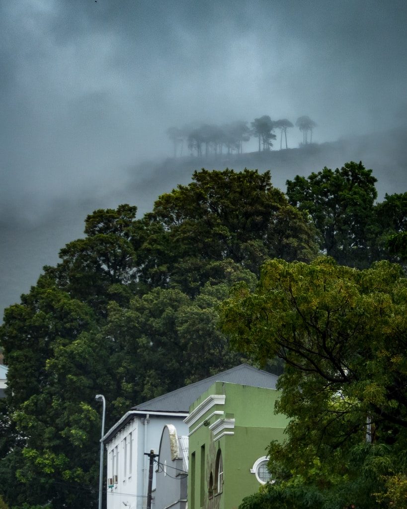 white and green concrete house under tall trees during cloudy sky