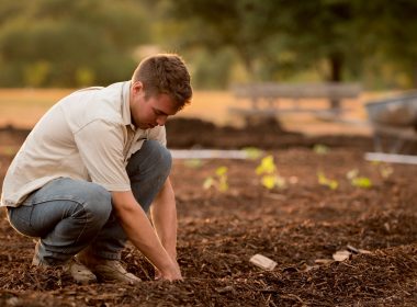 man in white shirt planting at daytime
