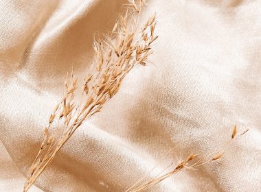 brown dried plant on white textile