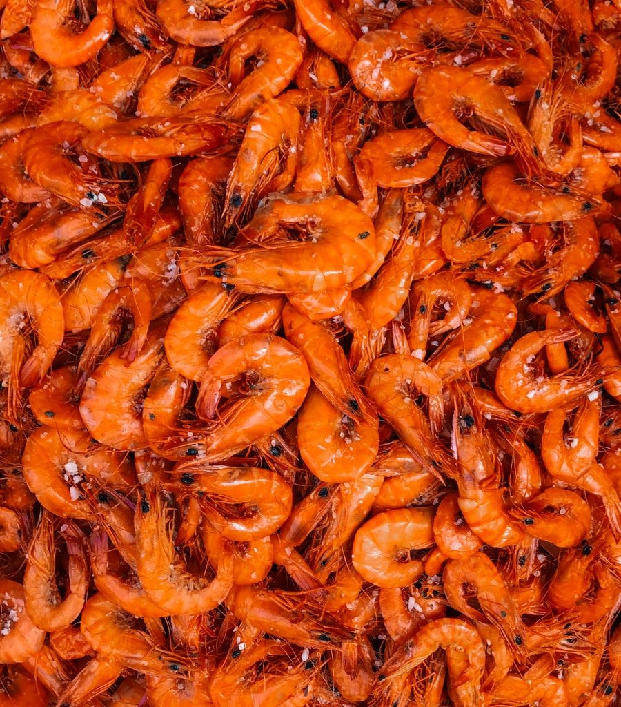 orange shrimp lot