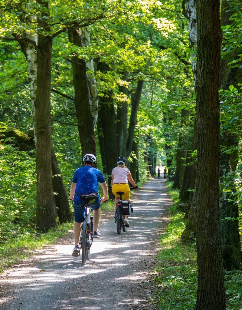 people riding bicycle on road between green trees during daytime