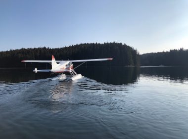 plane on body of water near trees during daytime