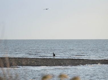 a bird is standing on the edge of the water